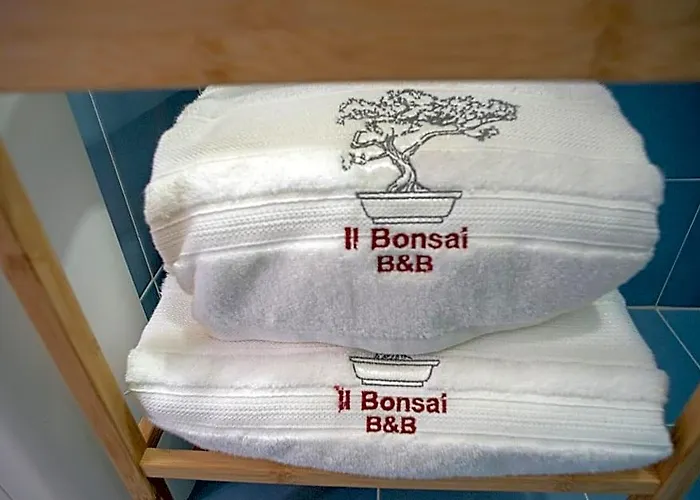 Il Bonsai רומא